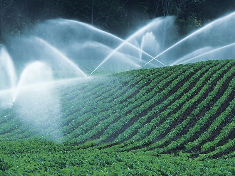How to Spot and Fix Common Irrigation System Problems