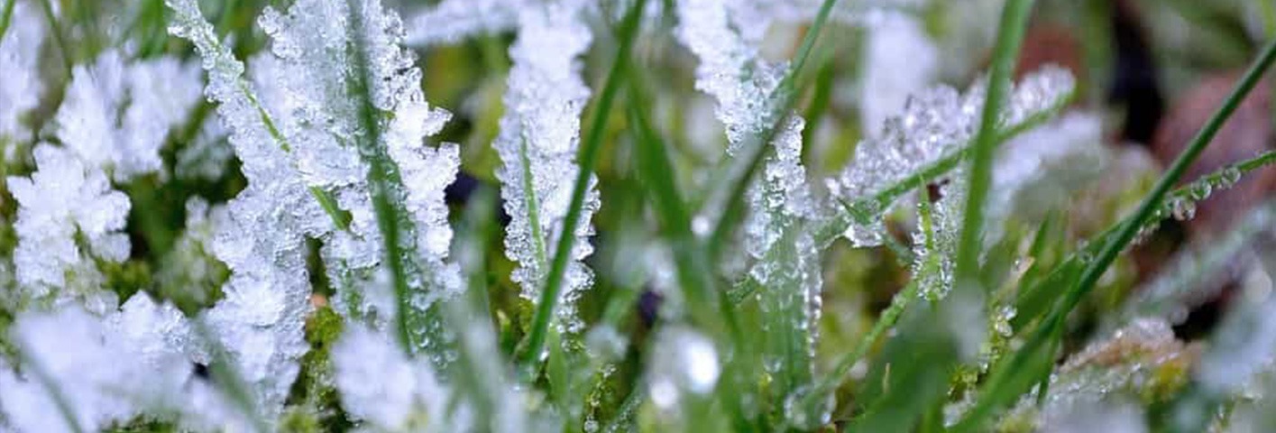 Start up and Winterizations Start up and Winterizations